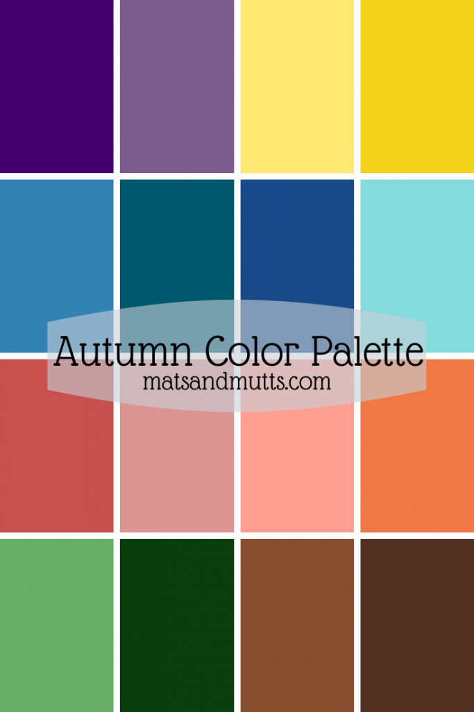 Find Your Season to Determine Your Perfect Color Palette